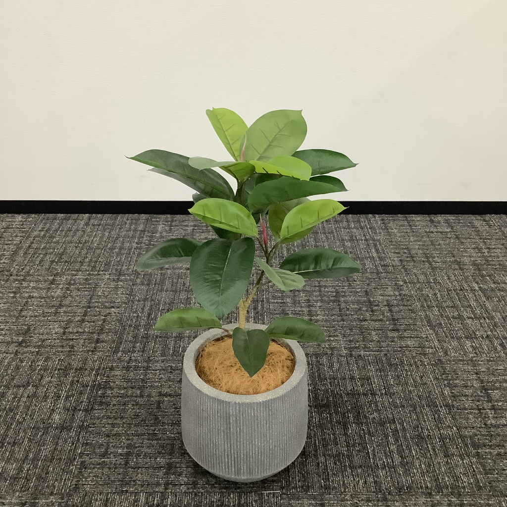 人工植栽 中2