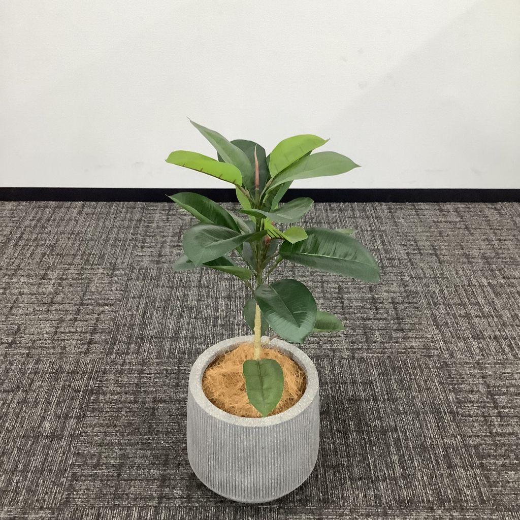 人工植栽 中3