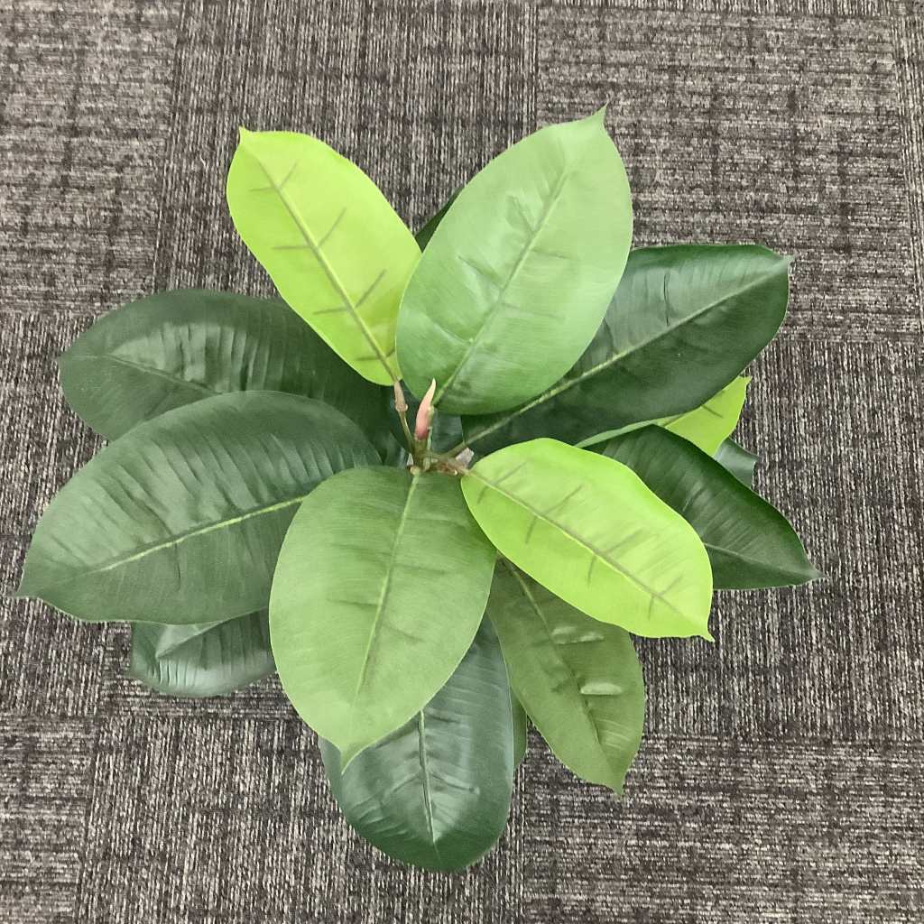 人工植栽 中5