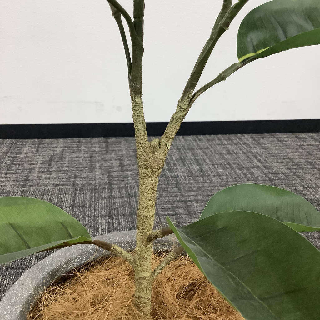 人工植栽 中6