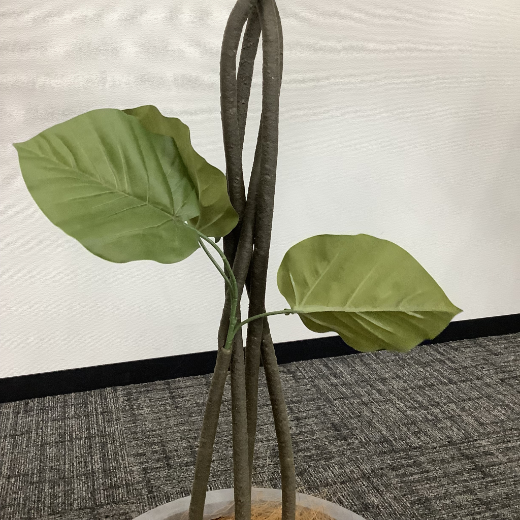 人工植栽 大 ライトグレー鉢5