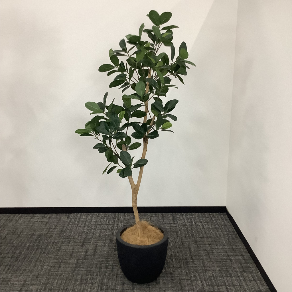 人工植栽 大 ブラック鉢2