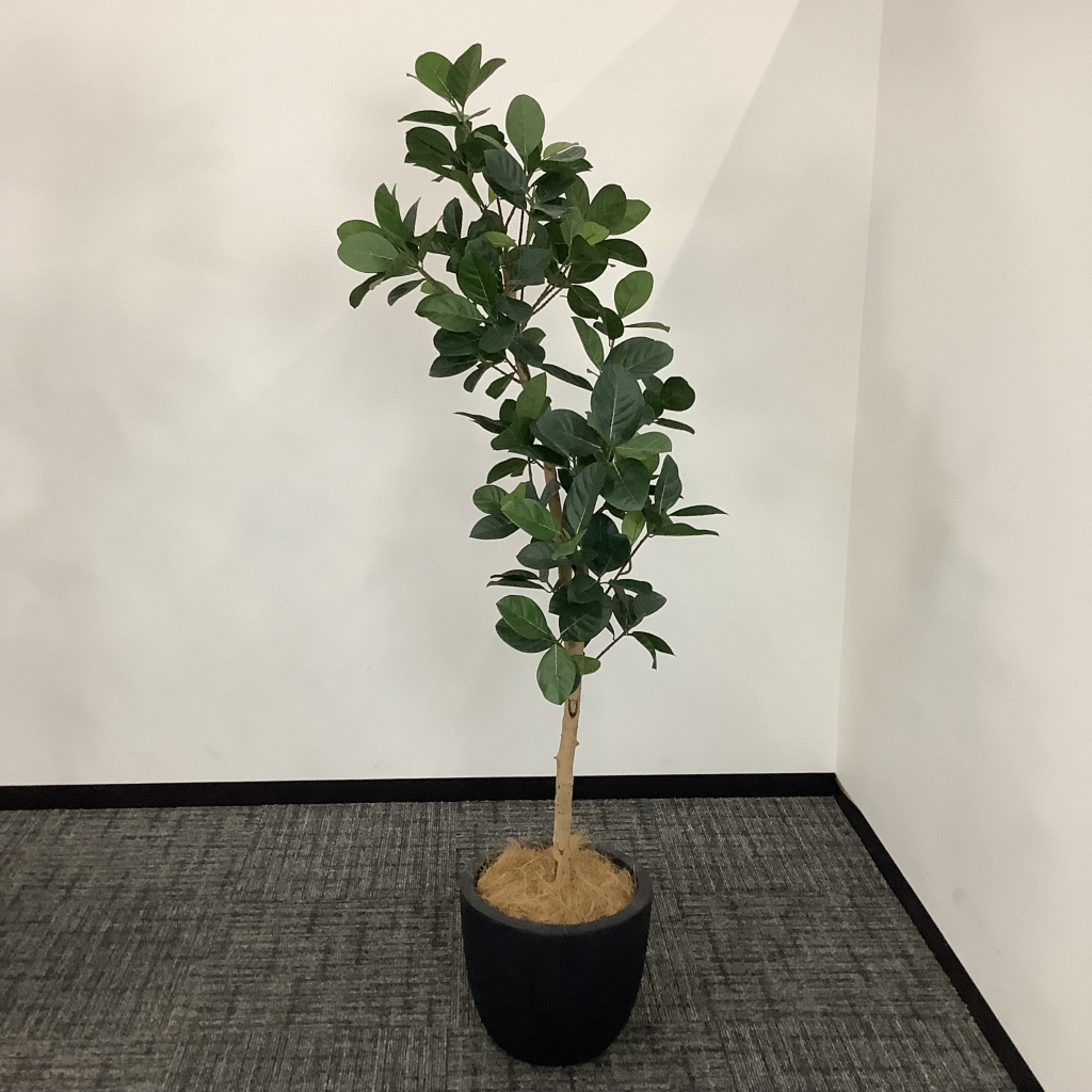 人工植栽 大 ブラック鉢3