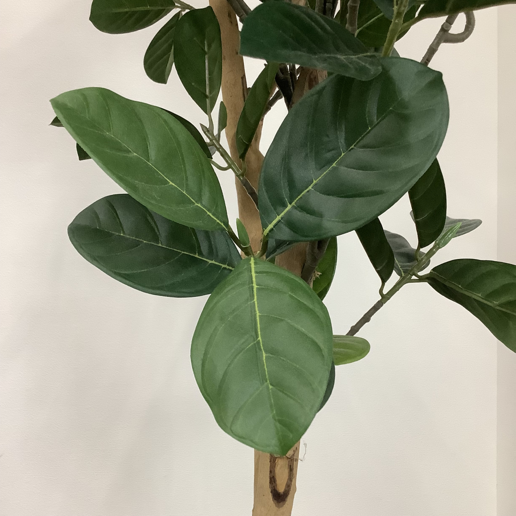 人工植栽 大 ブラック鉢5