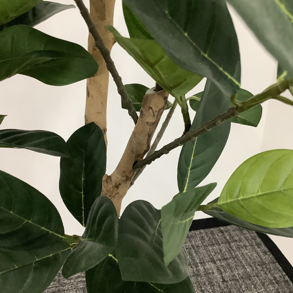 人工植栽 大 ブラック鉢6