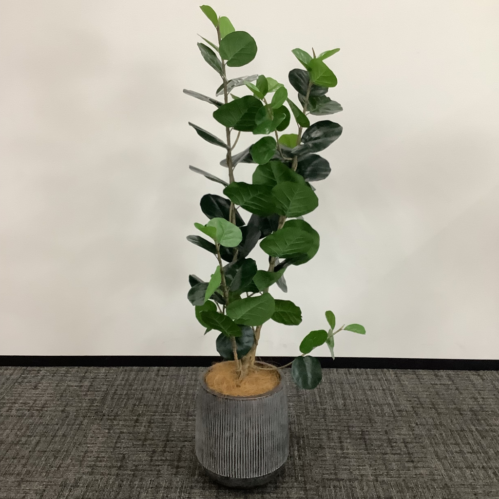 人工植栽 大 グレーストライプ鉢 広葉樹2