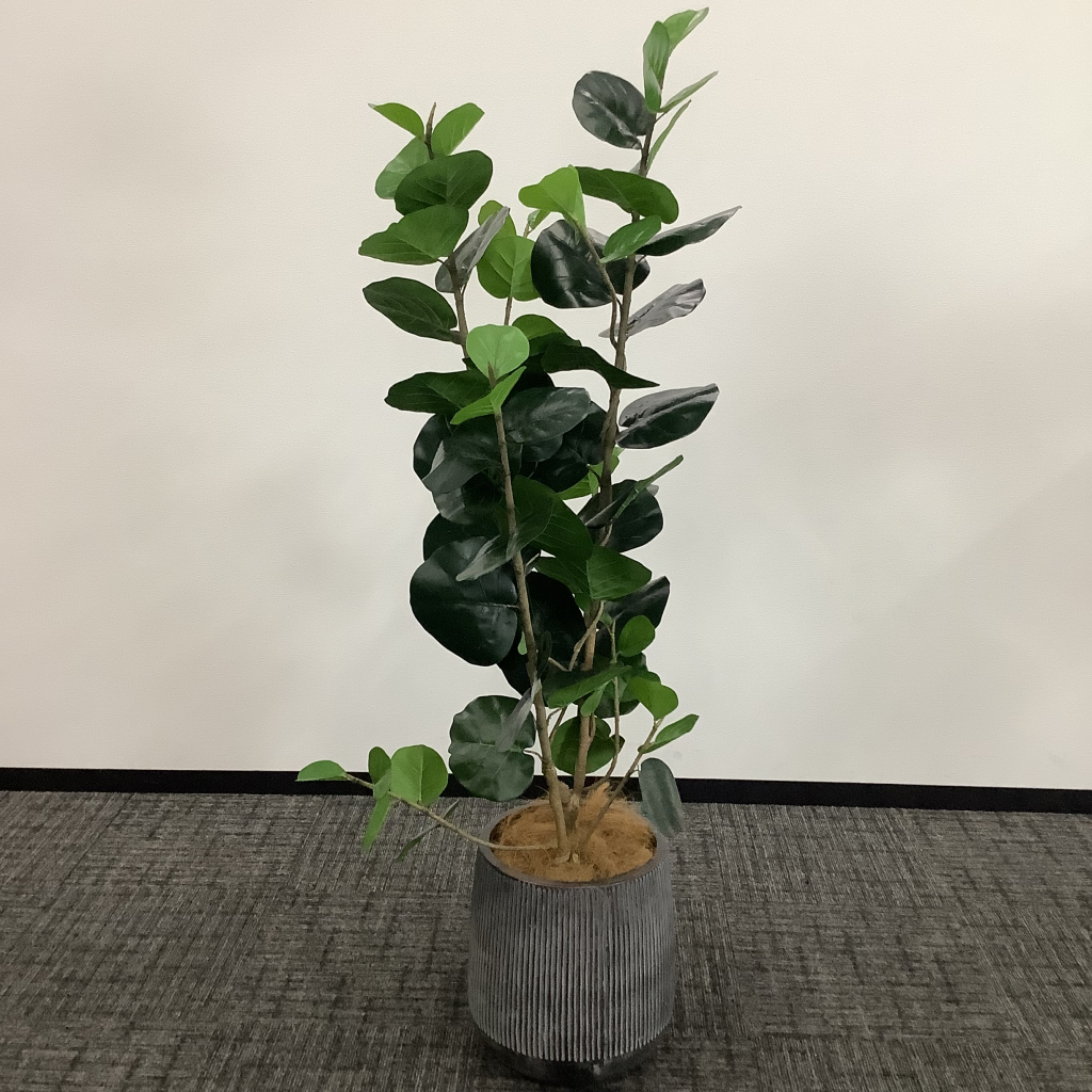 人工植栽 大 グレーストライプ鉢 広葉樹3