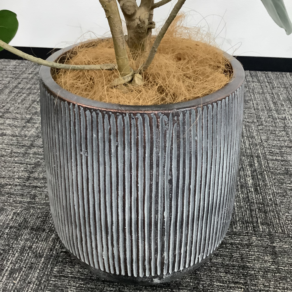 人工植栽 大 グレーストライプ鉢 広葉樹4