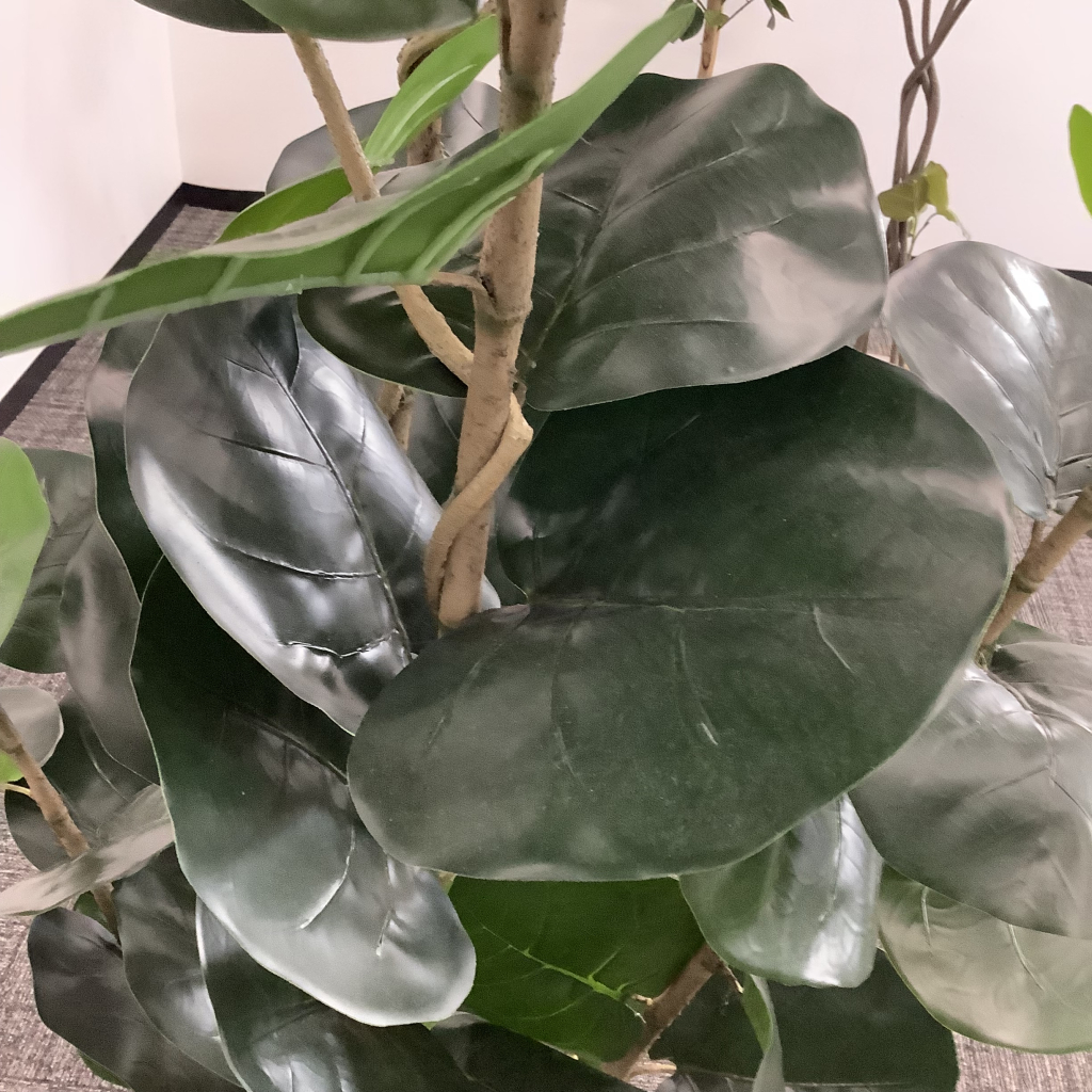 人工植栽 大 グレーストライプ鉢 広葉樹5