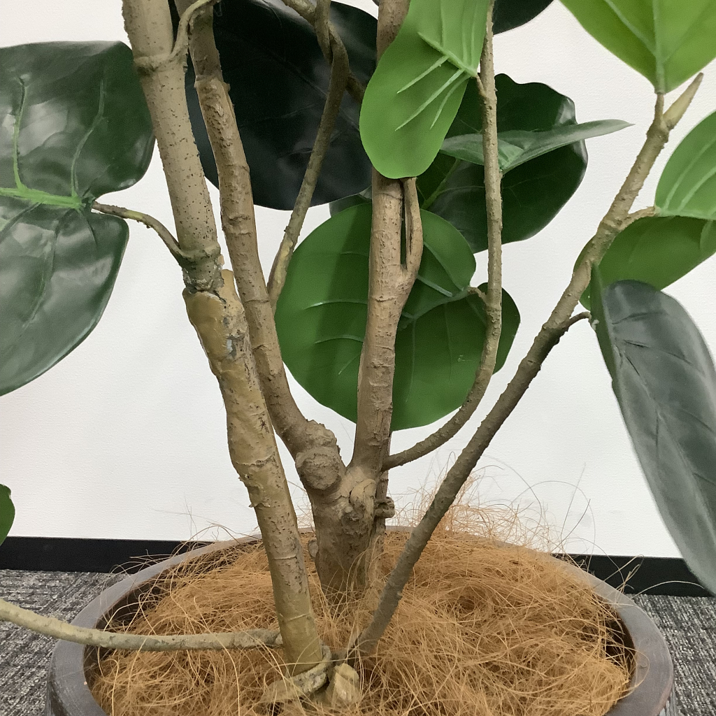 人工植栽 大 グレーストライプ鉢 広葉樹6