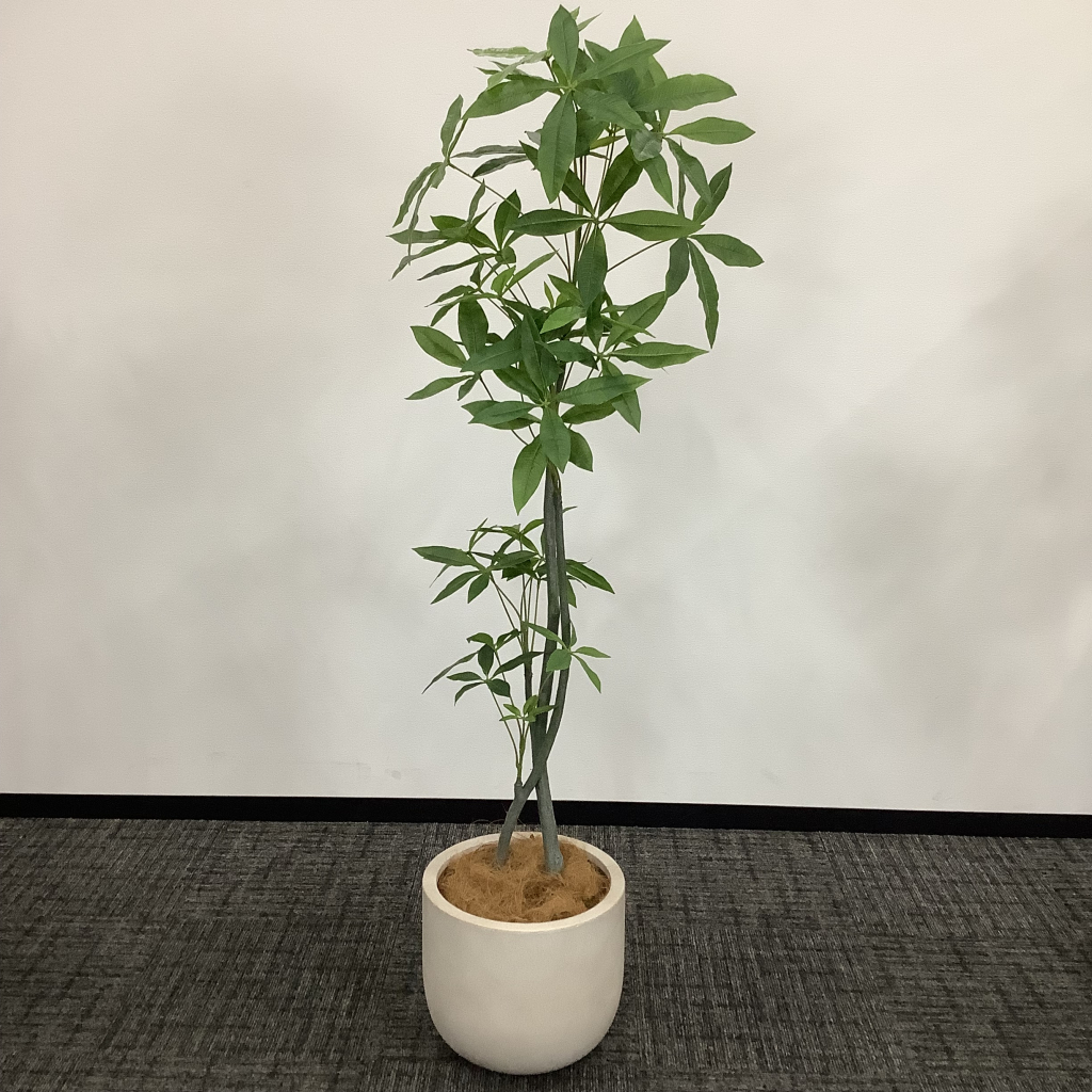 人工植栽 大 白鉢2