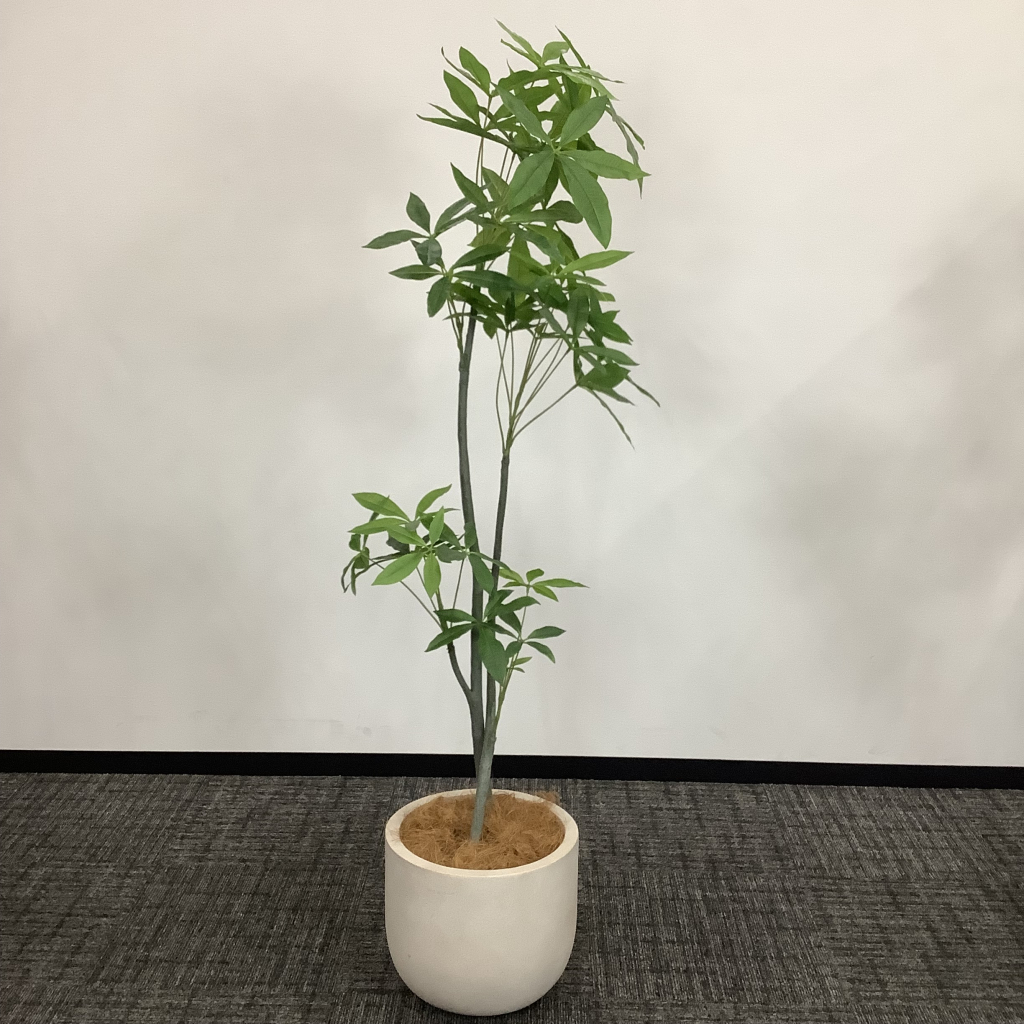 人工植栽 大 白鉢3