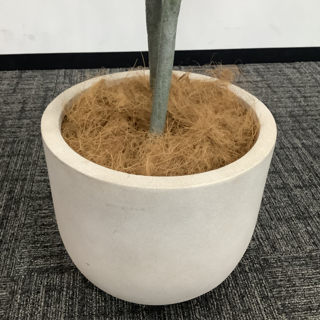 人工植栽 大 白鉢4