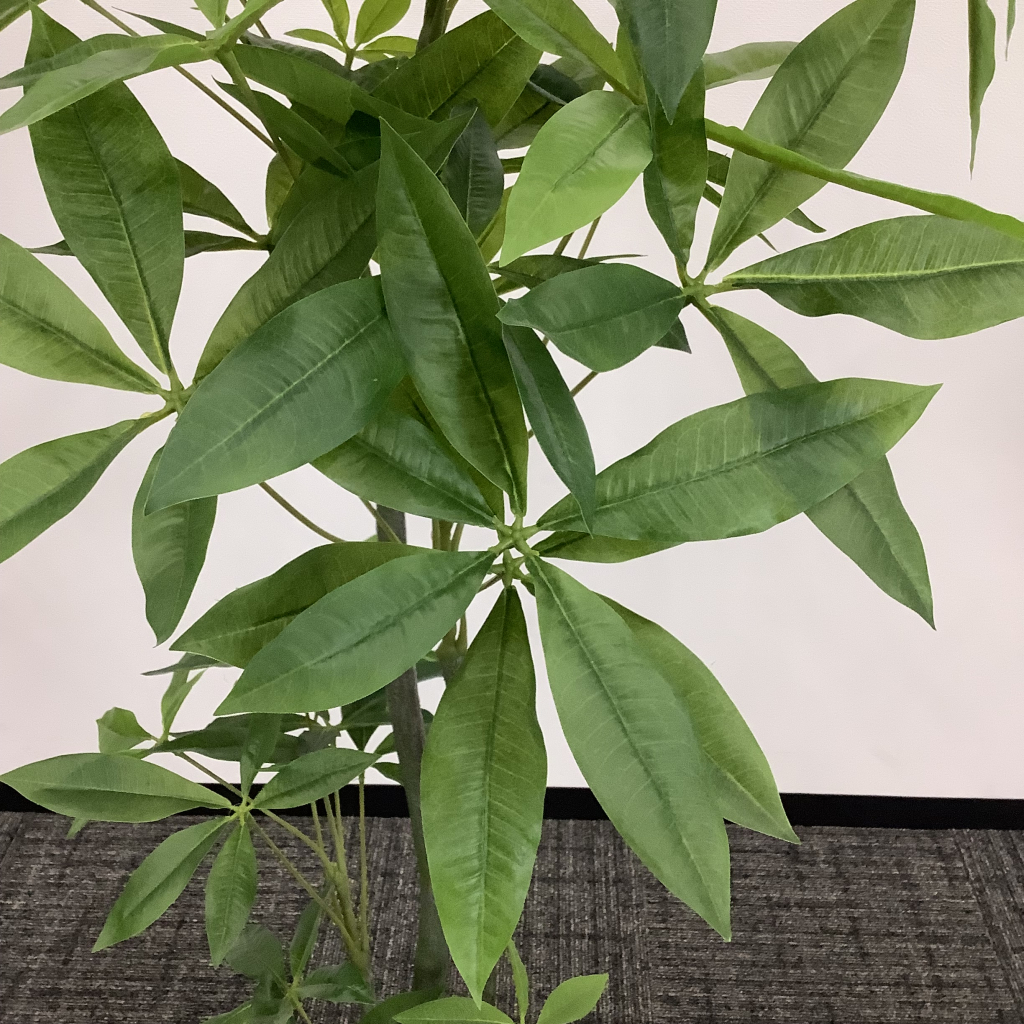 人工植栽 大 白鉢5