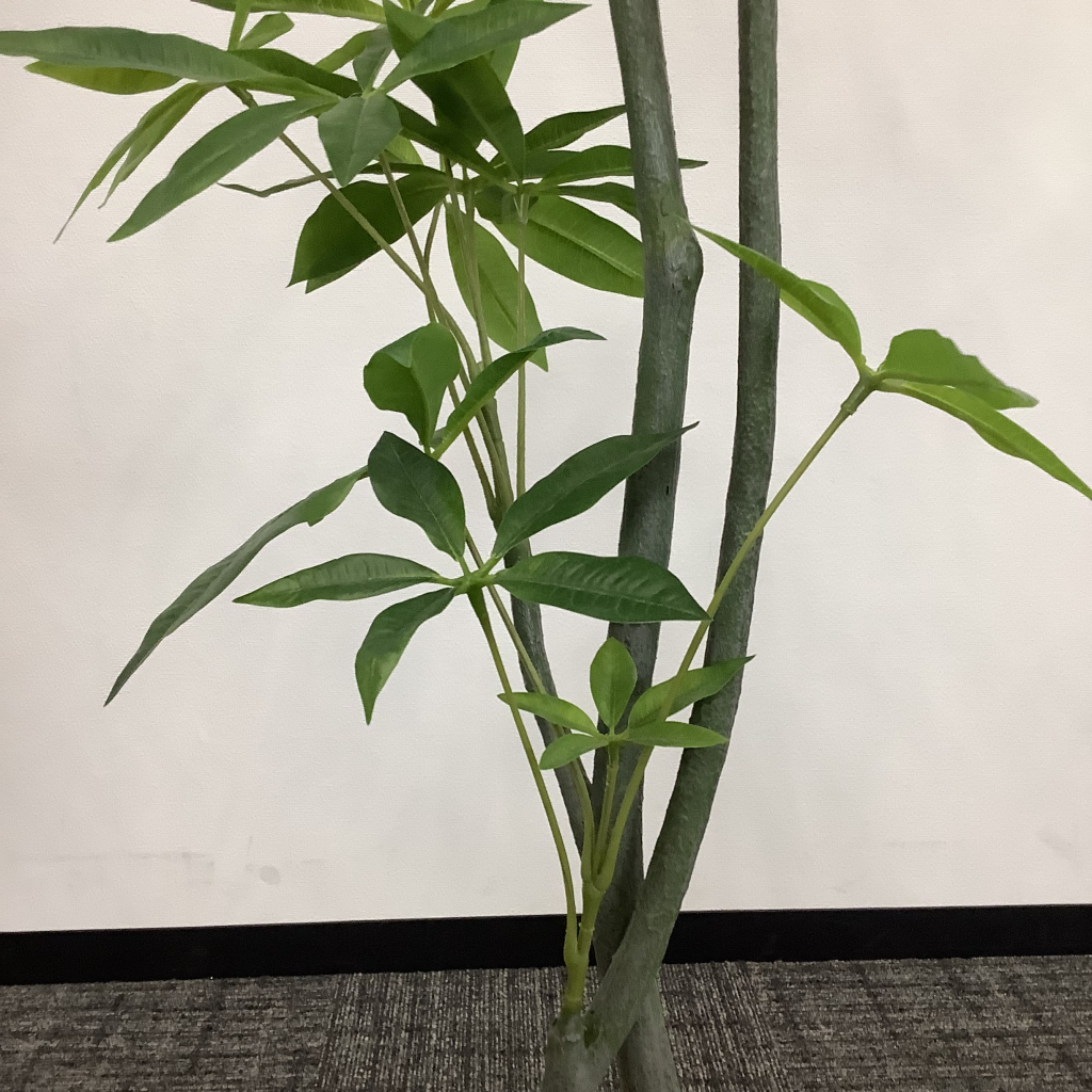 人工植栽 大 白鉢6