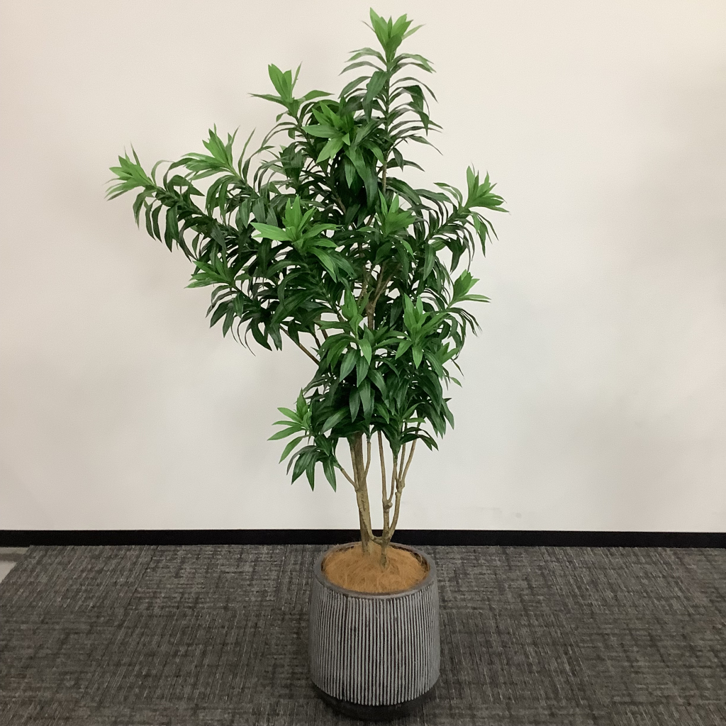 人工植栽 大 グレーストライプ鉢 針葉樹2