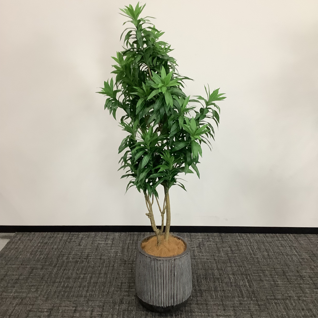 人工植栽 大 グレーストライプ鉢 針葉樹3