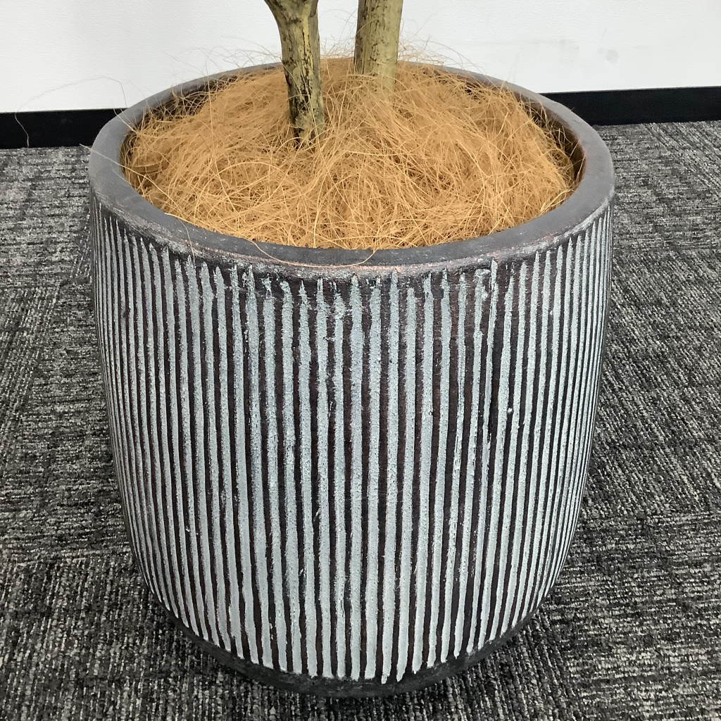 人工植栽 大 グレーストライプ鉢 針葉樹4