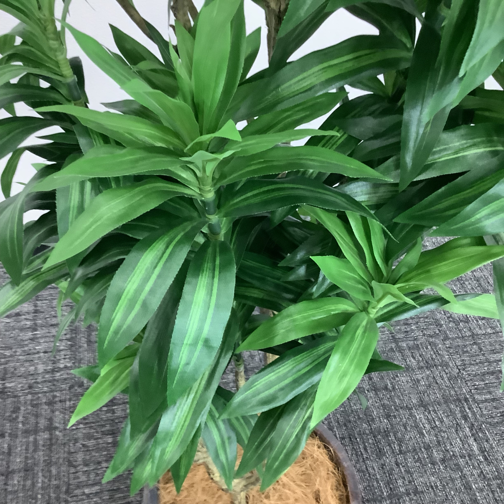 人工植栽 大 グレーストライプ鉢 針葉樹5