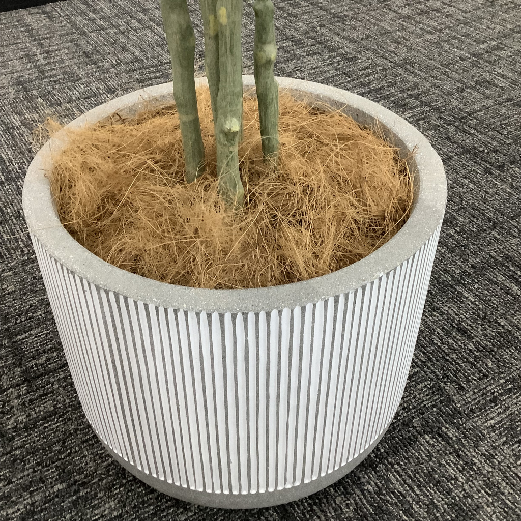人工植栽 大 白ストライプ鉢4