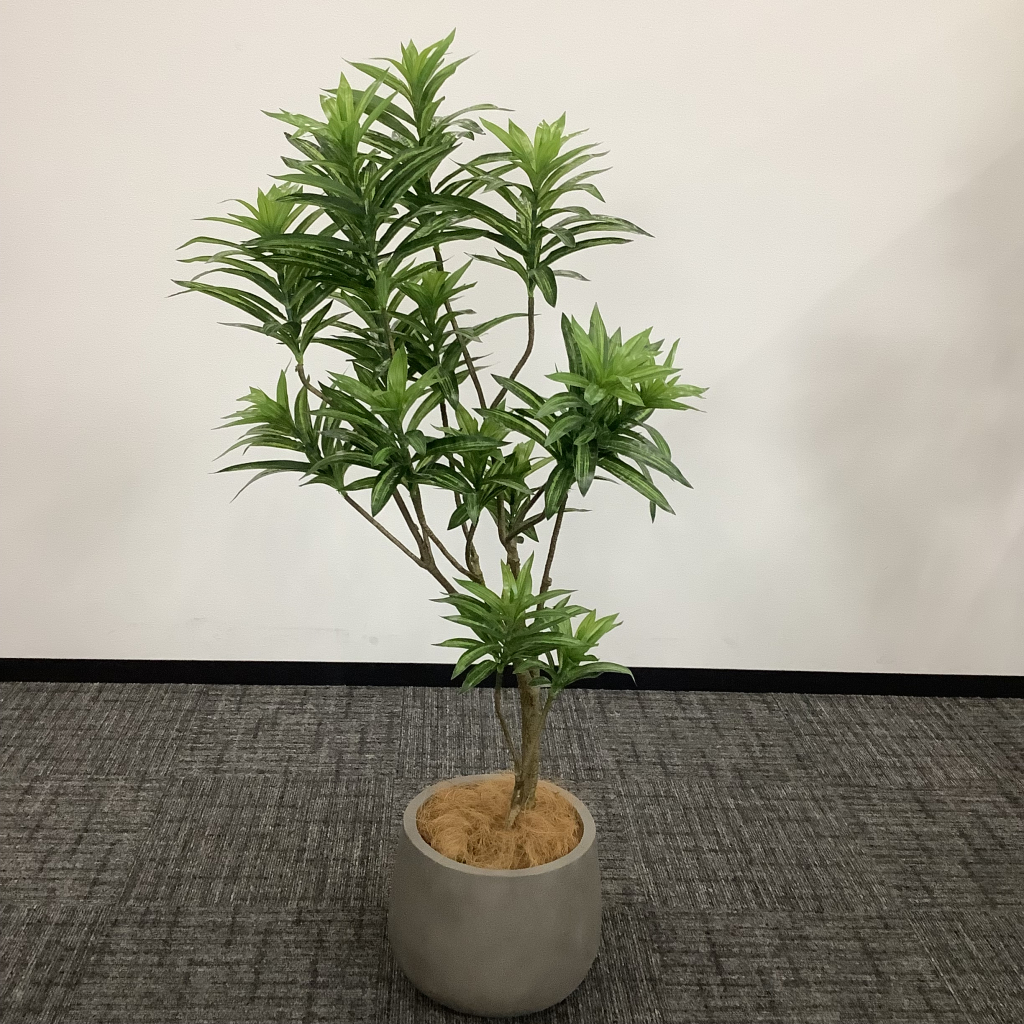 人工植栽 大 ダークグレー鉢2