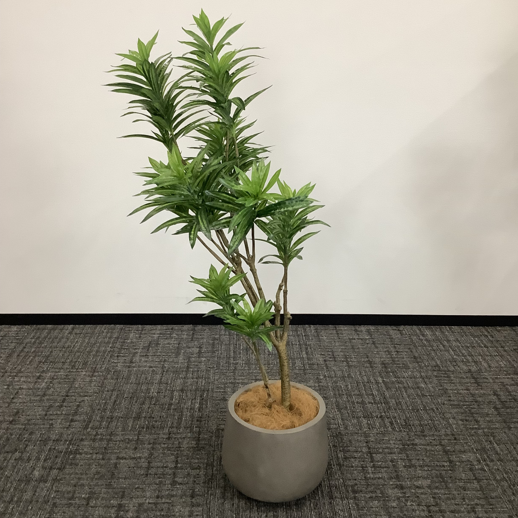 人工植栽 大 ダークグレー鉢3