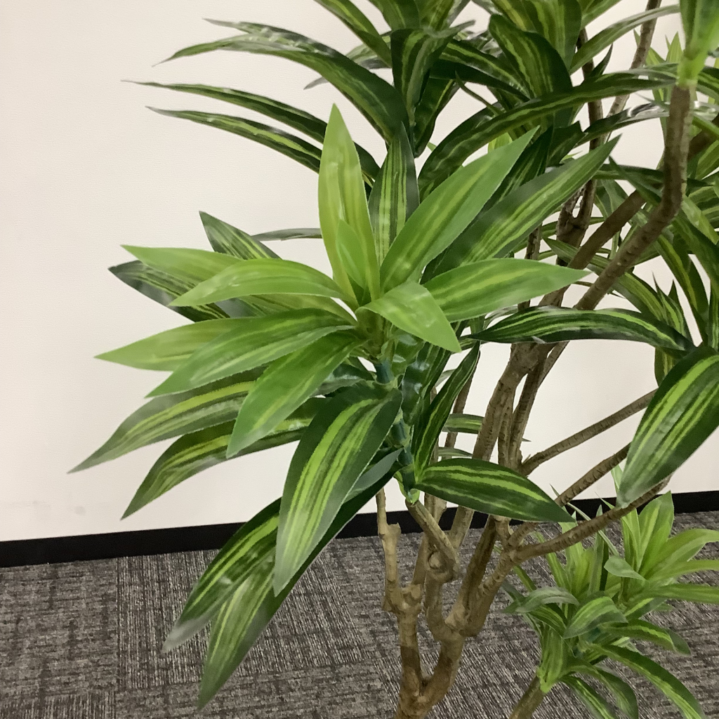 人工植栽 大 ダークグレー鉢4