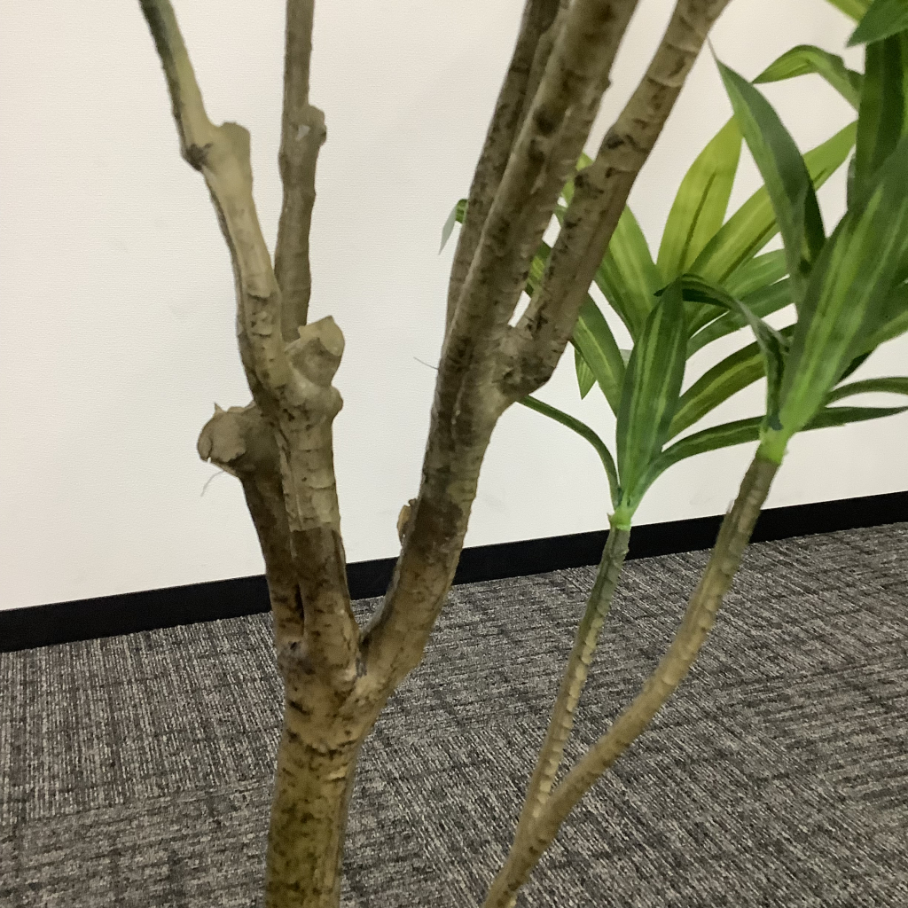 人工植栽 大 ダークグレー鉢5