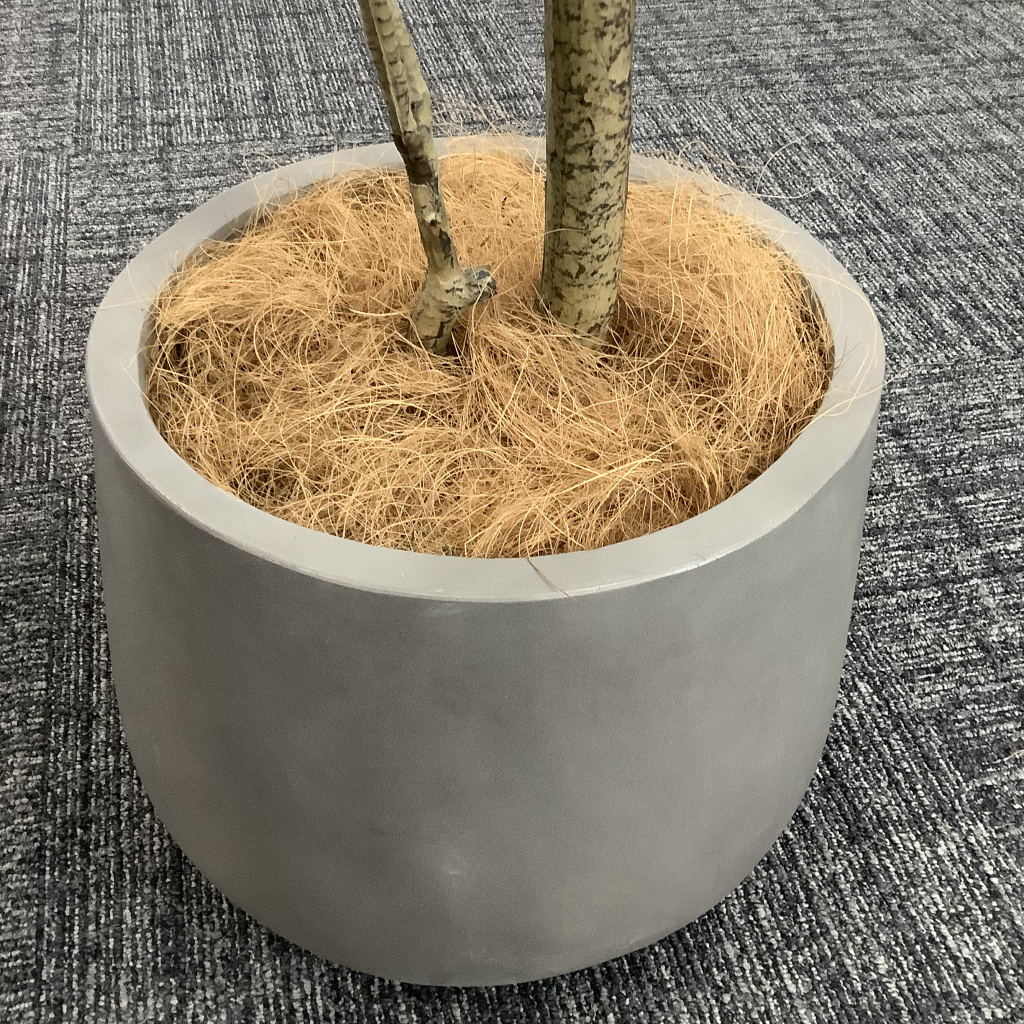 人工植栽 大 ダークグレー鉢6
