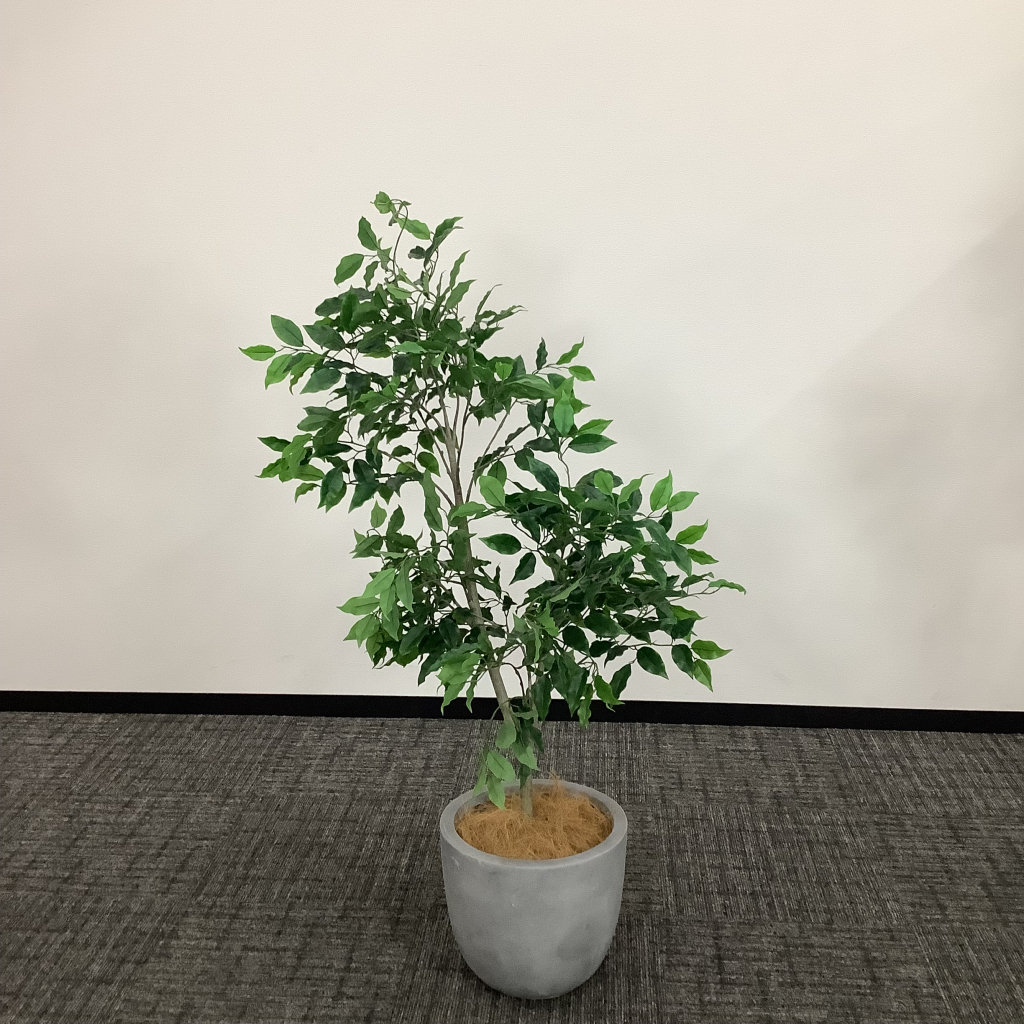人工植栽 大 ライトグレー鉢 細葉2