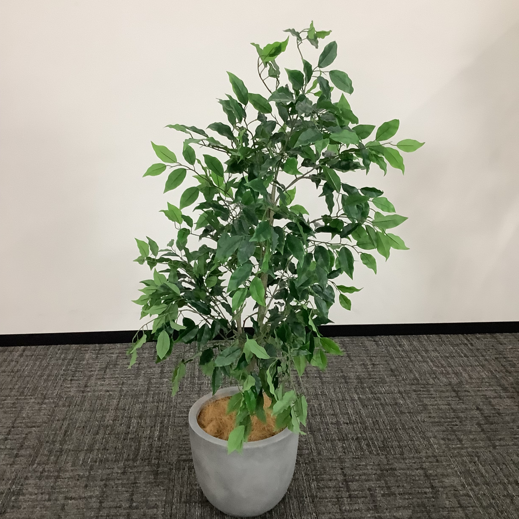 人工植栽 大 ライトグレー鉢 細葉4